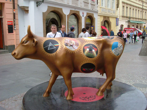 Cow1.jpg