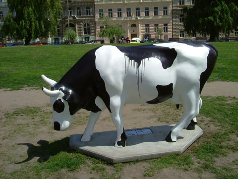 Cow15.jpg