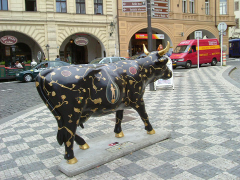 Cow6.jpg